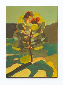  Studies Oil on board 