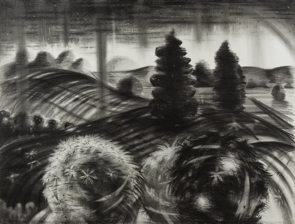  After the Disaster: Drawings Graphite on paper