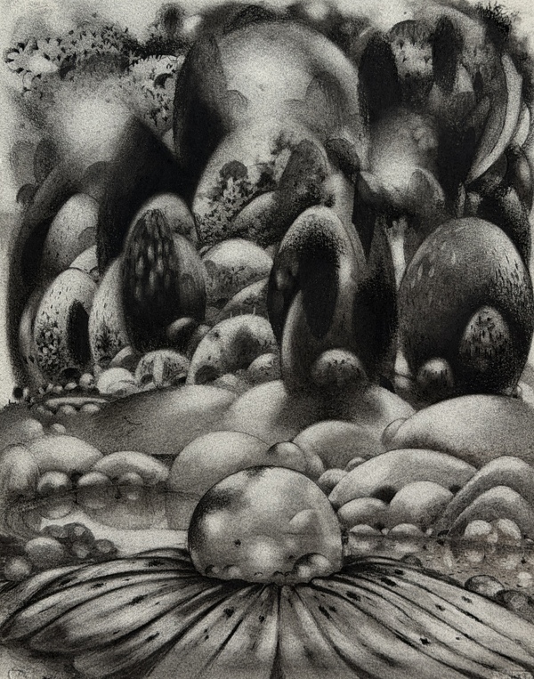  After the Disaster: Drawings Charcoal on paper