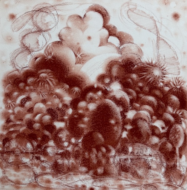  After the Disaster: Drawings Conte crayon on paper
