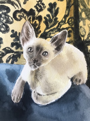 Amanda Barragry Animals Watercolor
