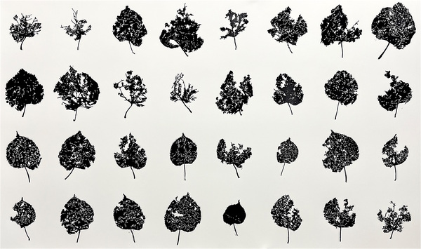 Andrew Carter - Artist & Printmaker Filligree Series linocut print  - 32 Blocks