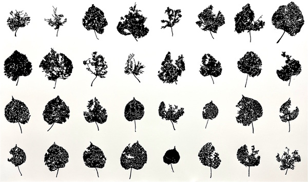 Andrew Carter - Artist & Printmaker All the Days of December 32 hand cut linoblocks