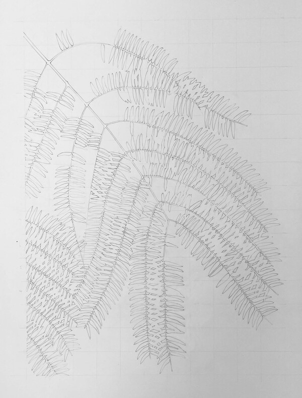 Andrew Carter - Artist & Printmaker Drawings pencil on fa