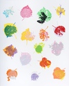 Carousel artwork image 3741