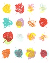 Carousel artwork image 3742