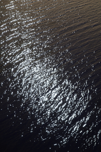 ARTicles Art Gallery Robin Perry Dana archival pigment print