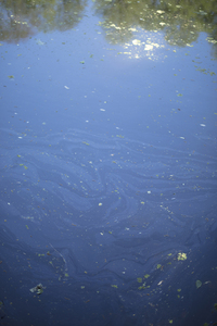 ARTicles Art Gallery Robin Perry Dana archival pigment print