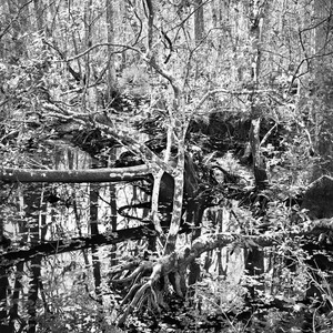 ARTicles Art Gallery Benjamin Dimmitt selenium-toned gelatin silver print (framed)