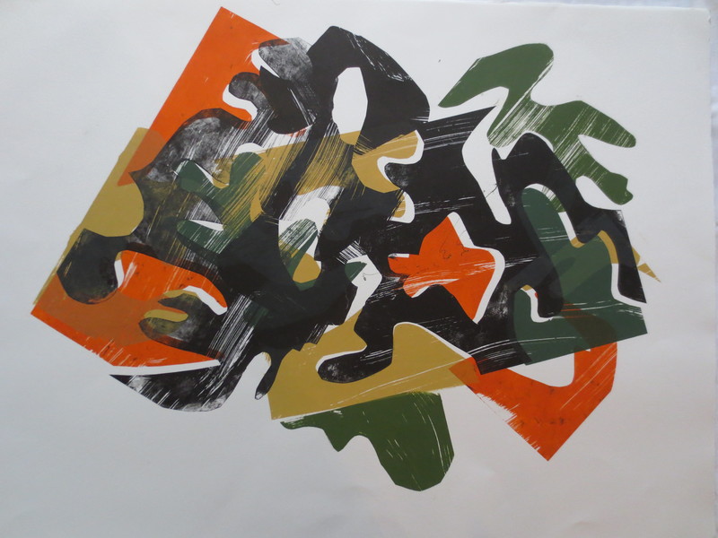 Barbara Shapiro "Puzzle Pieces" Pronto Plate Lithography on paper
