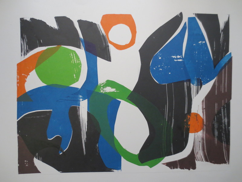 Barbara Shapiro "Puzzle Pieces" Pronto Plate Lithography on paper