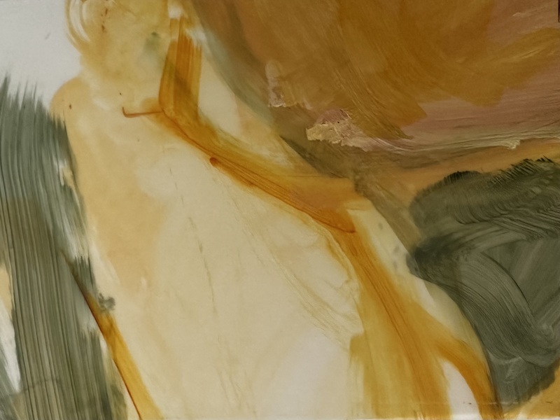 Barbara Shapiro "Glimpses  Acrylic paint on Dura-Lar