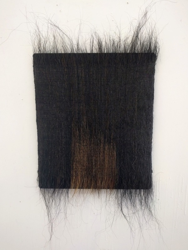 C A T H E R I N E   F A I R B A N K S      significant misfits + Icelandic horsetail hair and hand dyed thread, mounted on archival linen 