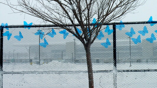 Claudia Ravaschiere Installations and Public Art 
