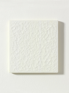 Daniel Levine Image Index - Paintings/Drawings lacquer and acrylic on cotton