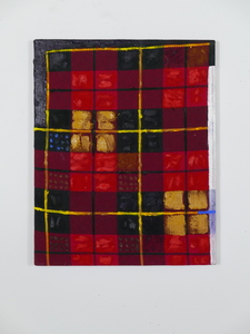 Dan Schnaidt Tape, stick, polygon Oil on cotton plaid