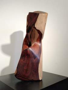 DAVID ERDMAN Available Works Rosewood handwax light side poly gloss other
