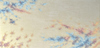 Carousel artwork image 4923