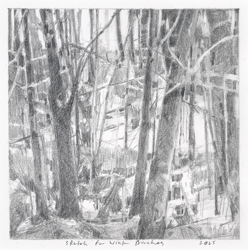 Elizabeth M. Lehman Drawings Graphite on paper