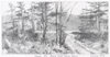 Carousel artwork image 1245