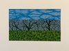 Carousel artwork image 3995