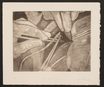 Ginny Parker Abstract & Misc Subjects mock mezzotint