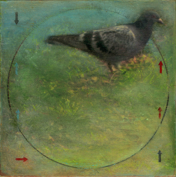 Heather Goodman Pigeons mixed media on panel