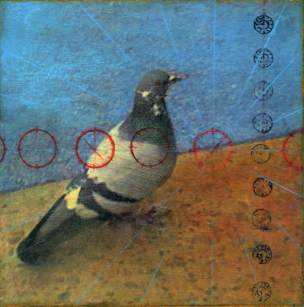 Heather Goodman Pigeons mixed media on panel