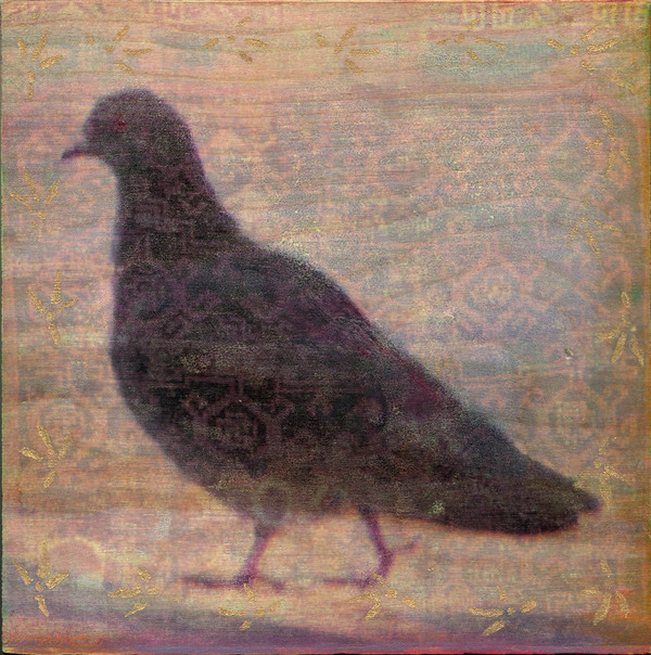 Heather Goodman Pigeons mixed media on panel