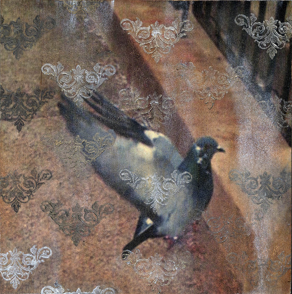 Heather Goodman Pigeons mixed media on panel