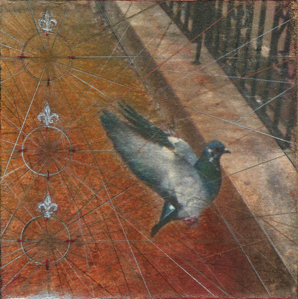 Heather Goodman Pigeons mixed media on panel