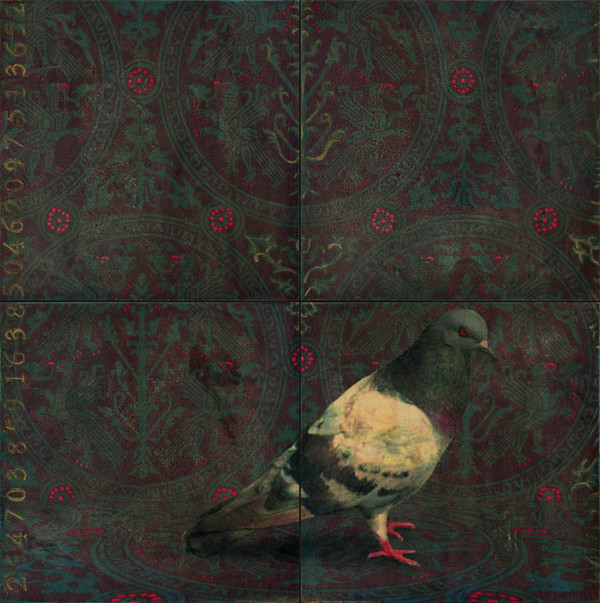 Heather Goodman Pigeons mixed media on panel