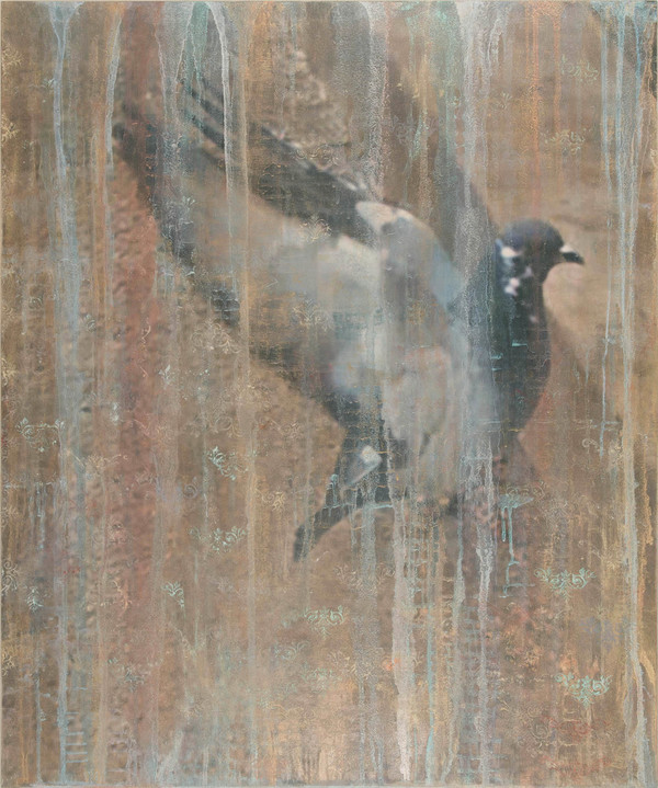 Heather Goodman Pigeons mixed media on panel