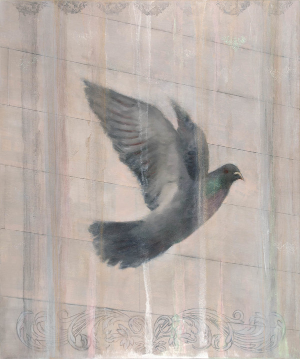 Heather Goodman Pigeons mixed media on panel