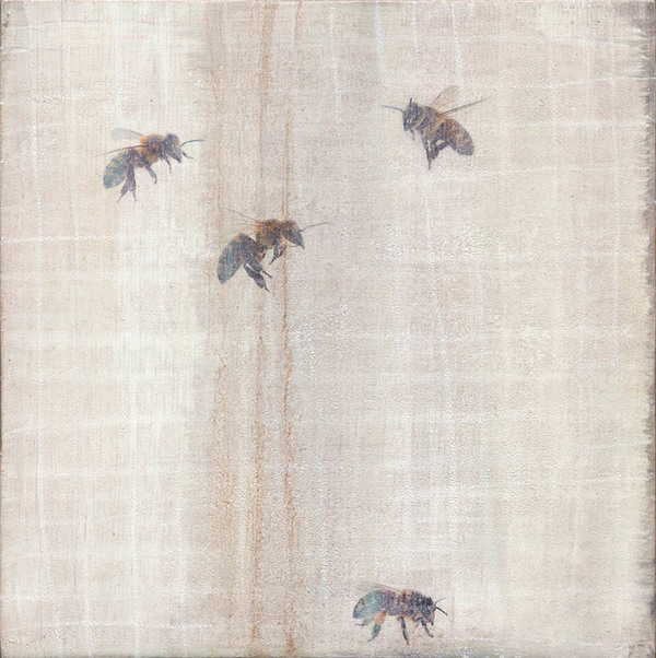 Heather Goodman Bees mixed media on wood panel