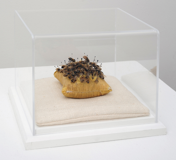 Janice Redman: Sculptor 2015 Linen, silk, honey bees, pins