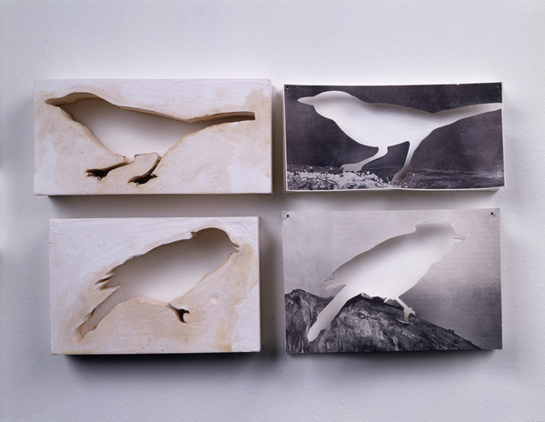 Janice Redman: Sculptor 2003 Paper, pins, hydrocal, wax
