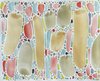  2026- Watercolor on paper