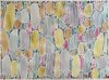  2026- Watercolor and gouache on paper