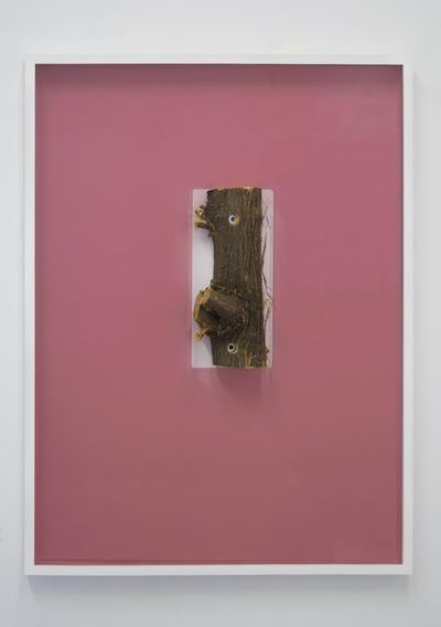 jesse robinson [frames] wood, enamel paint, glass, tint, branch, hardware