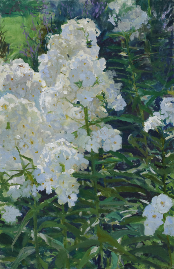  PAINTINGS: Plein Aire Since 2021 Oil on Canvas