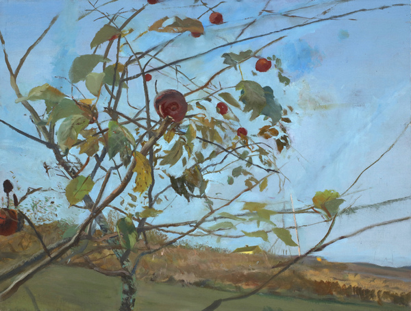  PAINTINGS: Plein Aire Since 2021 Oil on Linen on Aluminum Panel