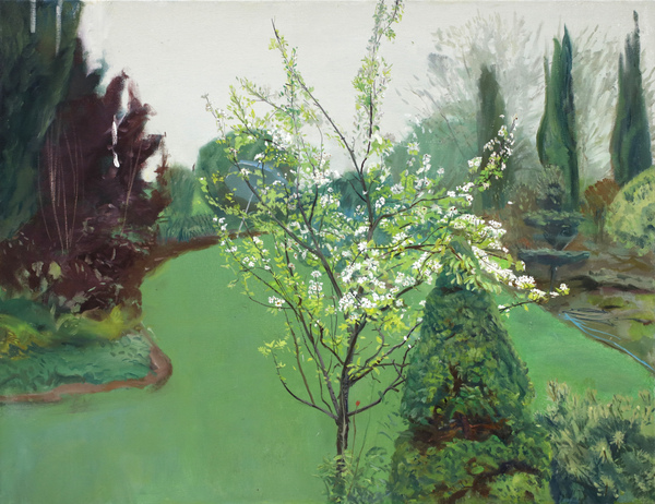  PAINTINGS: Plein Aire Since 2021 Oil on Canvas