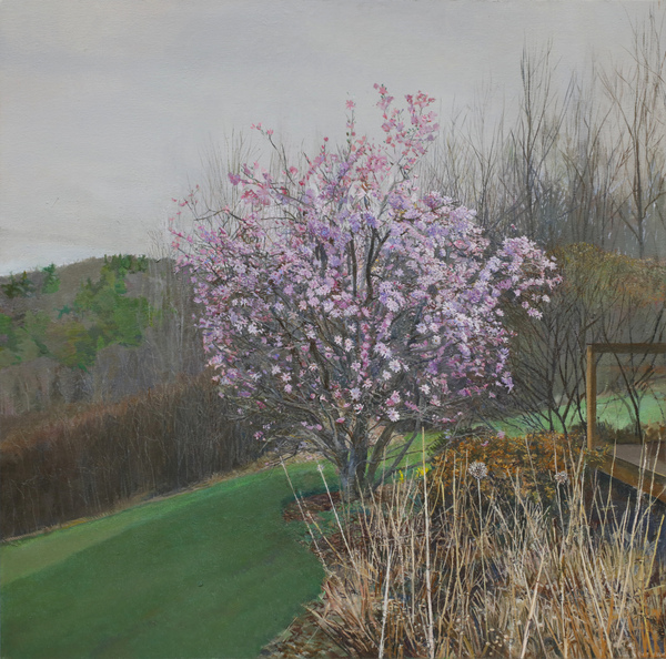  PAINTINGS: Plein Aire Since 2021 Oil on Canvas