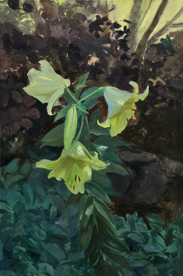  PAINTINGS: Plein Aire Since 2021 Oil on Canvas