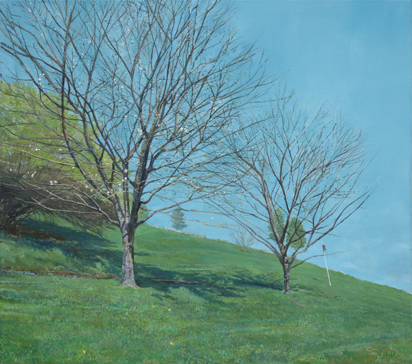  PAINTINGS: Plein Aire Since 2021 Oil on Canvas