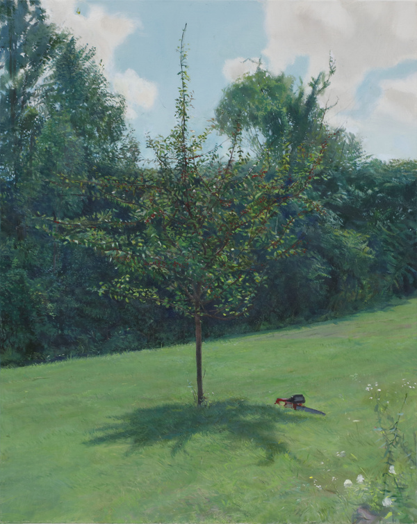  PAINTINGS: Plein Aire Since 2021 Oil on Canvas