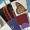 Carousel artwork image 7790
