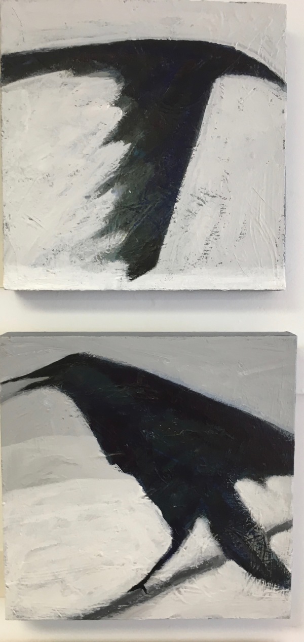 Joy Vaughan Crows 