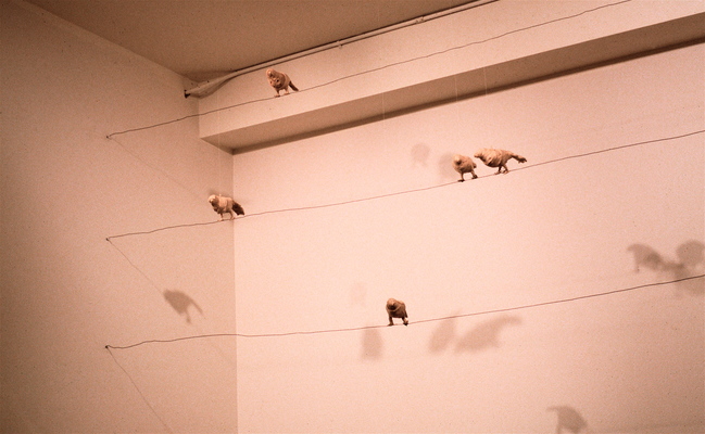 Juan-Carlos Perez Conversaciones-Bird Series burlap, plastic, wire